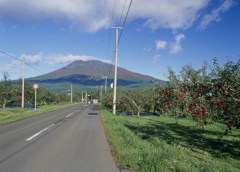 无人,横图,室外,白天,正面,旅游,度假,草地,草坪,美景,山,树林,植物,道路,路,路灯,公路,日本,亚洲,阴影,光线,电线,电线杆,影子,景观,山峰,云,云朵,灯光,分界线,停车线,交通,山峦,云彩,娱乐,灯,草,树,树木,蓝色,绿色,白云,蓝天,天空,阳光,自然,天,享受,休闲,景色,放松,生长,成长,车行道,车行道分界线,照明设备,自然风光,标线,东亚,车行线,本州,本州岛,日本国,青森,青森县,东北地方,马路,彩图