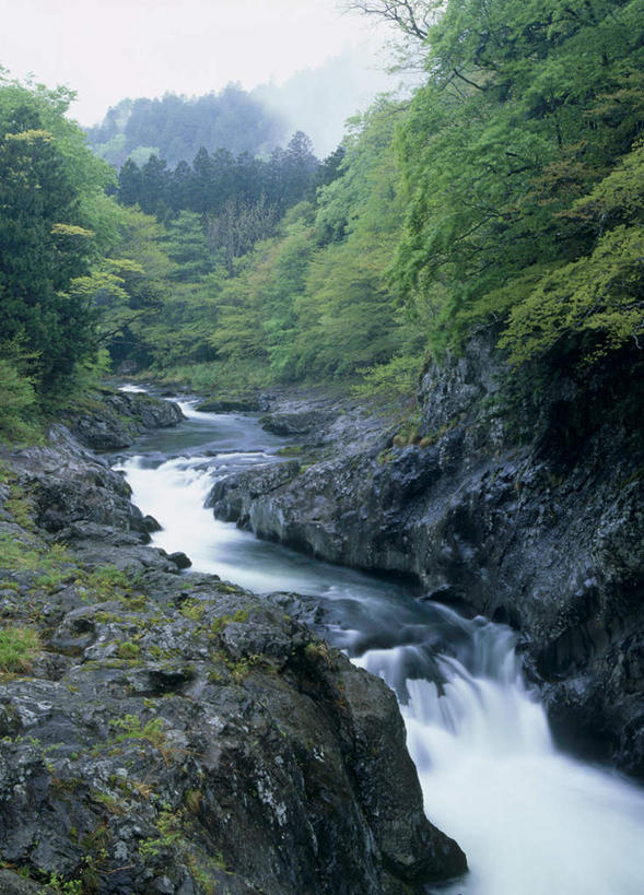 无人,竖图,室外,白天,正面,旅游,度假,草地,草坪,河流,石头,美景,山,山脉,树林,水,植物,雾,日本,亚洲,阴影,朦胧,模糊,光线,石子,影子,河水,景观,山峰,水流,山峦,娱乐,草,树,树木,蓝色,绿色,蓝天,天空,阳光,自然,群山,天,享受,休闲,景色,放松,生长,成长,迷雾,自然风光,东亚,本州,本州岛,日本国,青森,青森县,东北地方,石块,大雾,彩图