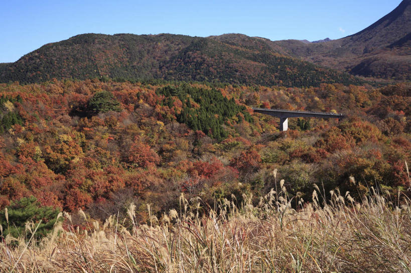 无人,横图,室外,白天,正面,旅游,度假,草地,草坪,美景,山,山脉,植物,大分县,日本,亚洲,阴影,枯萎,光线,影子,景观,山峰,枯草,山峦,娱乐,草,蓝色,绿色,蓝天,天空,阳光,自然,群山,天,享受,休闲,景色,放松,自然风光,东亚,日本国,九州本岛,九州,九州岛,九州地方,大分,彩图