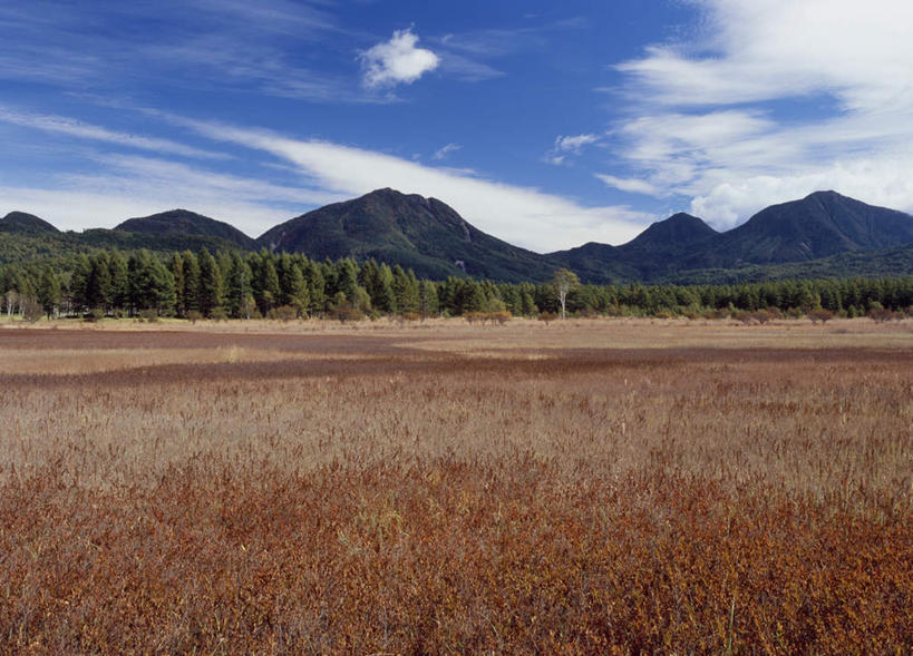 无人,横图,室外,白天,正面,旅游,度假,美景,山,山脉,树林,植物,日本,亚洲,阴影,枯萎,光线,影子,景观,山峰,云,云朵,枯草,山峦,云彩,娱乐,草,树,树木,黄色,蓝色,绿色,白云,蓝天,天空,阳光,自然,群山,天,享受,休闲,景色,放松,生长,成长,自然风光,东亚,本州,关东地方,本州岛,日本国,栃木,栃木县,彩图