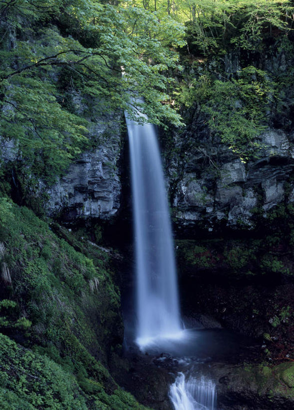无人,竖图,室外,白天,正面,旅游,度假,石头,美景,瀑布,山,树林,水,植物,日本,亚洲,飞溅,溅,石子,液体,景观,山峰,水滴,山峦,娱乐,树,树木,绿色,自然,享受,休闲,景色,放松,生长,成长,喷洒,自然风光,东亚,本州,关东地方,本州岛,日本国,群马,群马县,跌水,石块,岩石,彩图