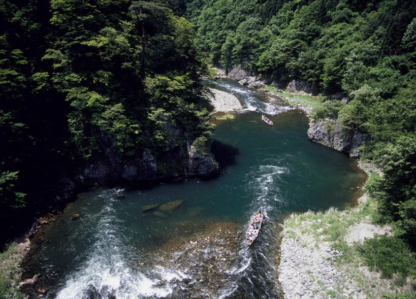 无人,横图,俯视,室外,白天,旅游,度假,河流,石头,美景,山,树林,水,植物,日本,亚洲,阴影,光线,石子,影子,河水,景观,山峰,水流,山峦,娱乐,树,树木,绿色,阳光,自然,享受,休闲,景色,放松,生长,成长,自然风光,东亚,本州,关东地方,本州岛,日本国,栃木,栃木县,石块,彩图,高角度拍摄