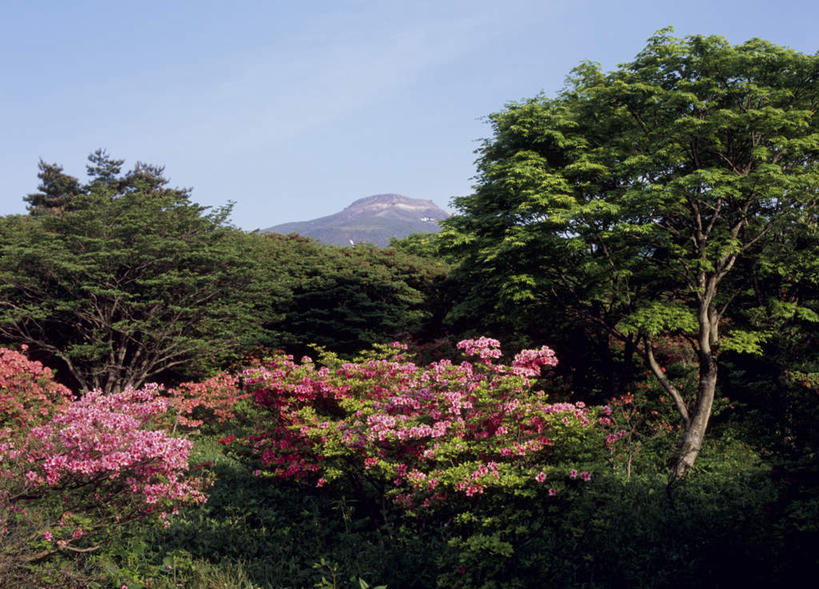 无人,横图,室外,白天,正面,旅游,度假,美景,山,山脉,树林,植物,杜鹃花,日本,亚洲,许多,阴影,盛开,光线,影子,景观,山峰,云,云朵,杜鹃,山峦,花蕾,云彩,娱乐,花,花瓣,花朵,鲜花,树,树木,红色,蓝色,绿色,白云,蓝天,天空,阳光,自然,群山,天,花苞,花蕊,享受,休闲,景色,放松,生长,成长,自然风光,东亚,本州,关东地方,本州岛,日本国,栃木,栃木县,红杜鹃,满山红,清明花,清时,山踯躅,红踯躅,山石榴,映山红,彩图