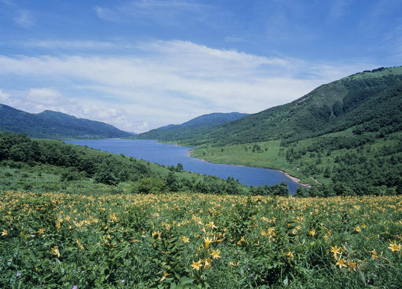 无人,横图,室外,白天,正面,旅游,度假,湖,湖泊,花海,花圃,美景,山,山脉,树林,水,植物,百合花,叶子,日本,亚洲,许多,阴影,盛开,光线,影子,湖面,景观,山峰,水流,水面,云,云朵,山峦,花蕾,云彩,娱乐,花,花瓣,花朵,鲜花,树,树木,黄色,蓝色,绿色,白云,蓝天,天空,阳光,自然,湖水,花丛,花束,花田,群山,天,花苞,花蕊,享受,休闲,景色,放松,生长,成长,自然风光,东亚,本州,关东地方,本州岛,日本国,群马,群马县,百合,彩图