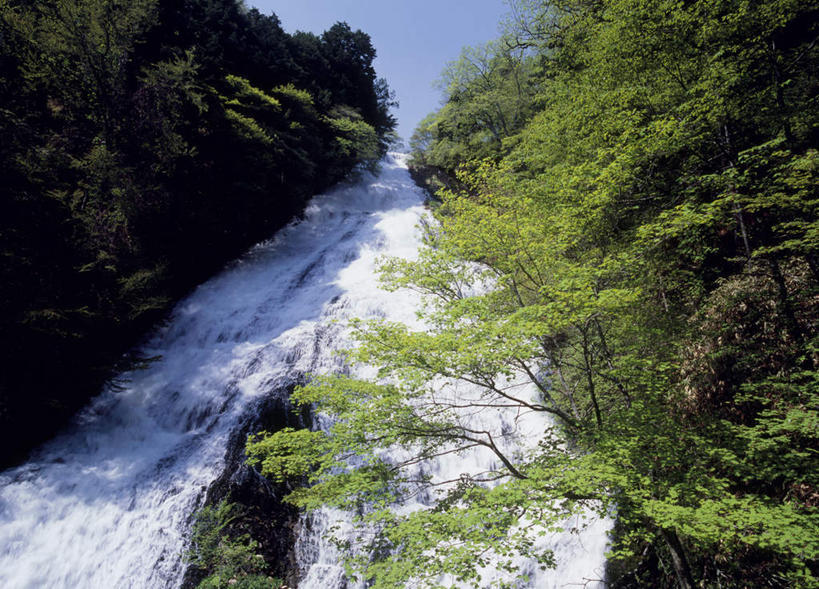 无人,横图,室外,白天,仰视,旅游,度假,石头,美景,瀑布,树林,水,植物,大分县,日本,亚洲,阴影,飞溅,溅,光线,石子,液体,影子,景观,娱乐,树,树木,蓝色,绿色,蓝天,天空,阳光,自然,天,享受,休闲,景色,放松,生长,成长,喷洒,自然风光,东亚,日本国,九州本岛,九州,九州岛,九州地方,大分,跌水,石块,岩石,彩图,低角度拍摄