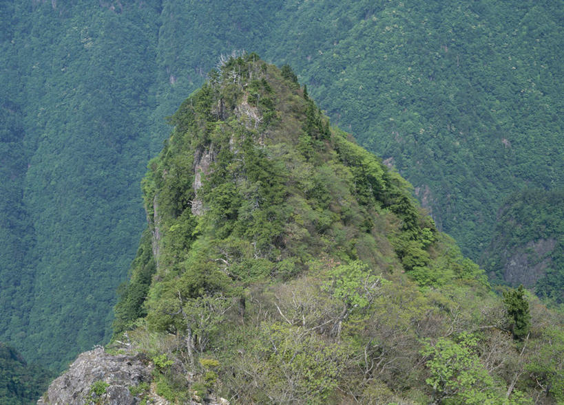 无人,横图,俯视,室外,白天,旅游,度假,草地,美景,山,树林,植物,奈良县,日本,亚洲,许多,景观,山峰,山峦,娱乐,草,树,树木,绿色,自然,享受,休闲,景色,放松,生长,成长,自然风光,东亚,本州,本州岛,日本国,近畿地方,奈良,近畿,彩图,高角度拍摄