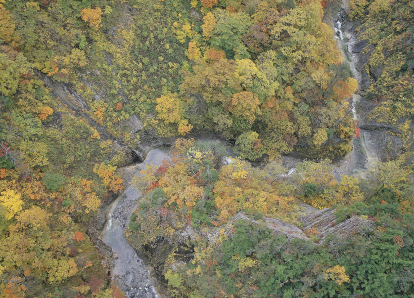 无人,横图,俯视,航拍,室外,白天,旅游,度假,河流,美景,森林,山,山脉,树林,水,植物,日本,亚洲,许多,河水,景观,山峰,水流,山峦,娱乐,树,树木,黄色,绿色,自然,群山,享受,休闲,景色,放松,生长,成长,鸟瞰,自然风光,东亚,本州,本州岛,日本国,青森,青森县,东北地方,彩图,高角度拍摄