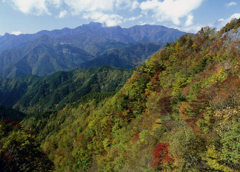 无人,横图,俯视,室外,白天,旅游,度假,美景,森林,山,山脉,树林,植物,奈良县,日本,亚洲,阴影,光线,影子,景观,山峰,云,云朵,山峦,云彩,娱乐,树,树木,蓝色,绿色,白云,蓝天,天空,阳光,自然,群山,天,享受,休闲,景色,放松,生长,成长,自然风光,东亚,本州,本州岛,日本国,近畿地方,奈良,近畿,彩图,高角度拍摄