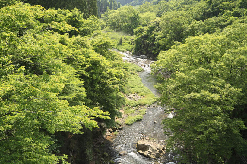 无人,横图,俯视,室外,白天,旅游,度假,河流,石头,美景,树林,水,植物,大分县,日本,亚洲,阴影,光线,石子,影子,河水,景观,水流,娱乐,树,树木,绿色,小溪,阳光,自然,溪水,享受,休闲,景色,放松,生长,成长,自然风光,东亚,日本国,九州本岛,九州,九州岛,九州地方,大分,石块,彩图,高角度拍摄