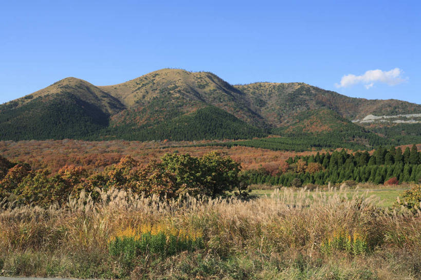无人,横图,室外,白天,正面,旅游,度假,草地,草坪,美景,山,山脉,树林,植物,大分县,日本,亚洲,阴影,光线,影子,景观,山峰,云,云朵,山峦,云彩,娱乐,草,树,树木,蓝色,绿色,白云,蓝天,天空,阳光,自然,群山,天,享受,休闲,景色,放松,生长,成长,自然风光,东亚,日本国,九州本岛,九州,九州岛,九州地方,大分,彩图