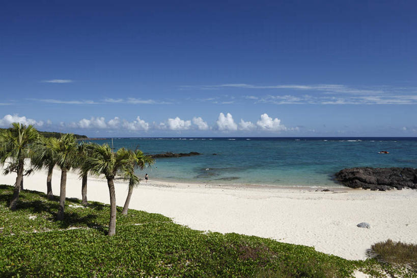 无人,横图,室外,白天,正面,旅游,度假,草地,草坪,海浪,海洋,美景,沙滩,植物,棕榈树,叶子,鹿儿岛,日本,亚洲,阴影,光线,沙子,影子,海岸,景观,浪花,水平线,云,云朵,辽阔,绿叶,海平线,沙地,云彩,娱乐,草,树,树木,蓝色,绿色,白云,蓝天,天空,阳光,自然,海水,天,享受,休闲,广阔,嫩叶,景色,放松,生长,成长,一望无际,自然风光,海景,东亚,棕榈叶,日本国,九州本岛,九州,九州岛,九州地方,鹿儿岛县,无边无际,一马平川,叶,叶片,大海,风浪,海,海水的波动,海滩,近岸浪,涌浪,彩图,水天相接,水天一线