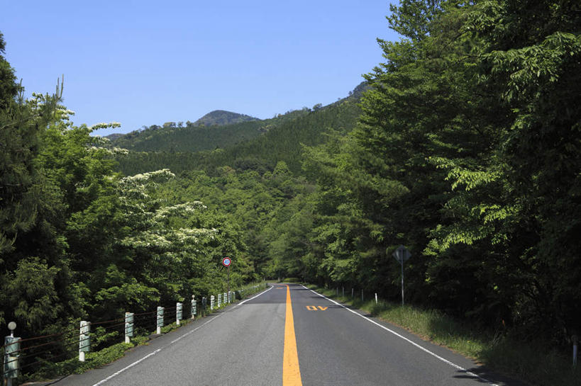 无人,栏杆,横图,室外,白天,正面,旅游,度假,美景,树林,植物,道路,路,公路,鹿儿岛,日本,亚洲,阴影,光线,影子,景观,围栏,分界线,停车线,交通,娱乐,护栏,树,树木,蓝色,绿色,蓝天,天空,阳光,自然,天,享受,休闲,景色,放松,生长,成长,车行道,车行道分界线,自然风光,标线,东亚,车行线,日本国,九州本岛,九州,九州岛,九州地方,鹿儿岛县,马路,彩图