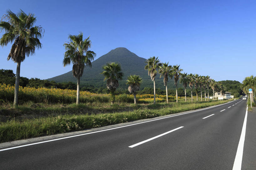 无人,横图,室外,白天,正面,旅游,度假,草地,草坪,美景,树林,植物,道路,路,公路,棕榈树,鹿儿岛,日本,亚洲,阴影,光线,影子,景观,分界线,停车线,交通,娱乐,草,树,树木,蓝色,绿色,蓝天,天空,阳光,自然,天,享受,休闲,景色,放松,生长,成长,车行道,车行道分界线,自然风光,标线,东亚,棕榈叶,车行线,日本国,九州本岛,九州,九州岛,九州地方,鹿儿岛县,马路,彩图