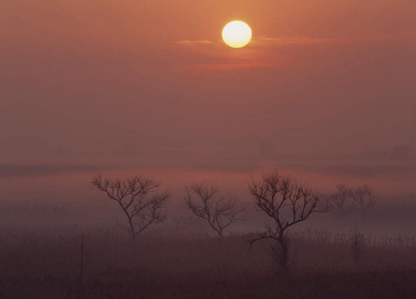 无人,横图,室外,白天,正面,旅游,度假,日出,美景,树林,太阳,植物,日本,亚洲,景观,朝霞,晨曦,黎明,娱乐,树,树木,蓝色,绿色,蓝天,天空,阳光,自然,天,享受,休闲,景色,放松,生长,成长,自然风光,东亚,本州,关东地方,本州岛,日本国,栃木,栃木县,朝阳,彩图,破晓