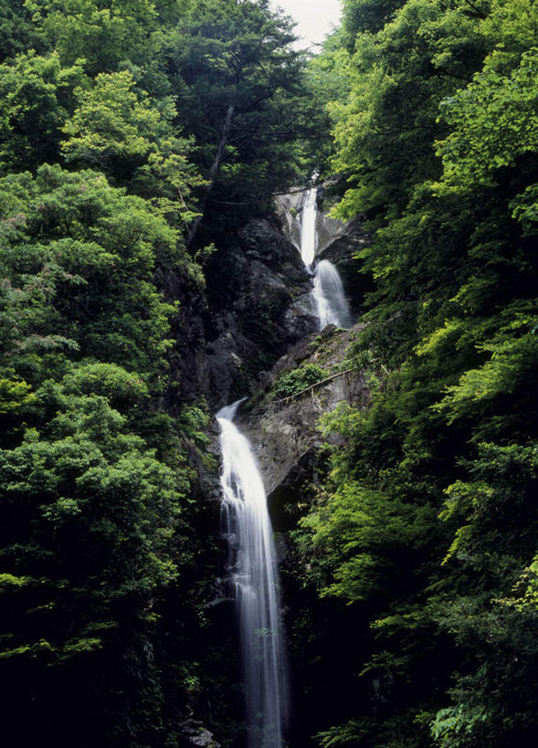 无人,竖图,室外,白天,仰视,旅游,度假,石头,美景,瀑布,山,树林,水,植物,奈良县,日本,亚洲,飞溅,溅,石子,液体,景观,山峰,山峦,娱乐,树,树木,绿色,自然,享受,休闲,景色,放松,生长,成长,喷洒,自然风光,东亚,本州,本州岛,日本国,近畿地方,奈良,近畿,跌水,石块,岩石,彩图,低角度拍摄