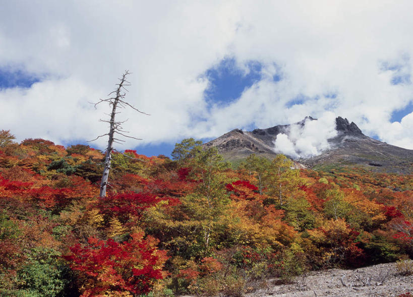 无人,竖图,室外,白天,正面,旅游,度假,草地,草坪,美景,秋季,山,树林,植物,日本,亚洲,许多,阴影,光线,影子,景观,山峰,云,云朵,山峦,云彩,娱乐,草,树,树木,黄色,红色,蓝色,绿色,白云,蓝天,天空,阳光,自然,天,享受,休闲,景色,放松,生长,成长,自然风光,东亚,本州,关东地方,本州岛,日本国,栃木,栃木县,秋,秋天,彩图
