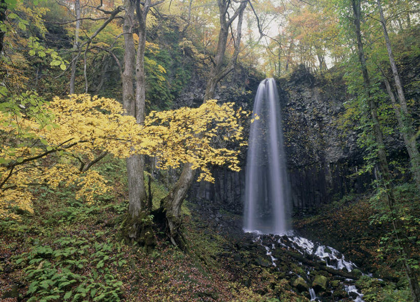 无人,横图,室外,白天,正面,旅游,度假,草地,草坪,美景,瀑布,秋季,树林,水,植物,日本,亚洲,许多,飞溅,溅,液体,景观,悬崖,娱乐,草,树,树木,黄色,绿色,自然,享受,休闲,石壁,景色,放松,生长,成长,喷洒,自然风光,东亚,本州,本州岛,日本国,青森,青森县,东北地方,跌水,秋,秋天,彩图