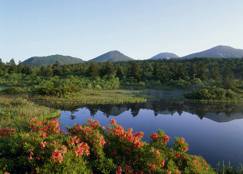 无人,横图,室外,白天,正面,旅游,度假,湖,湖泊,美景,山,山脉,树林,水,植物,杜鹃花,日本,亚洲,许多,阴影,盛开,光线,影子,湖面,景观,山峰,水流,水面,杜鹃,山峦,花蕾,娱乐,花,花瓣,花朵,鲜花,树,树木,红色,蓝色,绿色,蓝天,天空,阳光,自然,湖水,群山,天,花苞,花蕊,享受,休闲,景色,放松,生长,成长,自然风光,东亚,本州,本州岛,日本国,青森,青森县,东北地方,红杜鹃,满山红,清明花,清时,山踯躅,红踯躅,山石榴,映山红,彩图