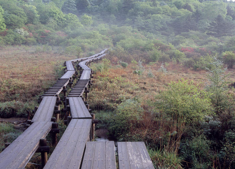 无人,横图,室外,白天,正面,旅游,度假,草地,草坪,美景,树林,植物,道路,路,日本,亚洲,阴影,枯萎,光线,木板,影子,景观,小路,桥,枯草,木桥,交通,娱乐,栈桥,草,树,树木,绿色,阳光,自然,享受,休闲,景色,放松,生长,成长,人行桥,木板桥,自然风光,东亚,本州,关东地方,本州岛,日本国,栃木,栃木县,彩图