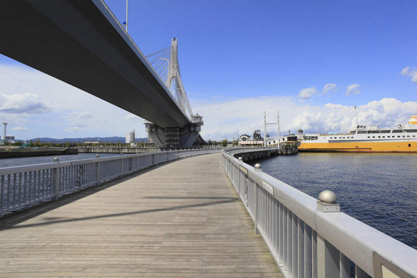 无人,栏杆,横图,室外,白天,仰视,旅游,度假,海浪,海洋,大桥,道路,立交桥,路,轮船,桥梁,公路,船,日本,亚洲,浪花,云,云朵,高架,围栏,斜拉桥,桥,交通,云彩,娱乐,护栏,蓝色,白云,蓝天,天空,海水,天,享受,休闲,放松,停泊,海景,东亚,本州,本州岛,日本国,青森,青森县,东北地方,青森港湾大桥,大海,风浪,海,海水的波动,近岸浪,涌浪,马路,彩图,低角度拍摄