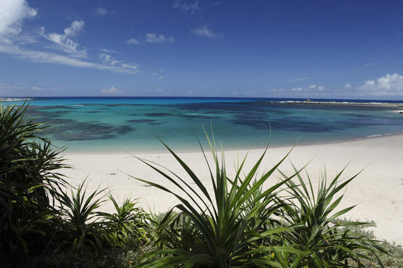 无人,横图,室外,白天,正面,旅游,度假,草地,草坪,海浪,海洋,美景,沙滩,植物,鹿儿岛,日本,亚洲,沙子,海岸,景观,浪花,水平线,辽阔,海平线,沙地,娱乐,草,绿色,自然,海水,享受,休闲,广阔,景色,放松,一望无际,自然风光,海景,东亚,日本国,九州本岛,九州,九州岛,九州地方,鹿儿岛县,无边无际,一马平川,大海,风浪,海,海水的波动,海滩,近岸浪,涌浪,彩图,水天相接,水天一线