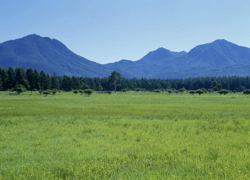 无人,横图,室外,白天,正面,旅游,度假,草地,草坪,美景,山,山脉,树林,植物,日本,亚洲,景观,山峰,山峦,娱乐,草,树,树木,蓝色,绿色,蓝天,天空,自然,群山,天,享受,休闲,景色,放松,生长,成长,自然风光,东亚,本州,关东地方,本州岛,日本国,栃木,栃木县,彩图