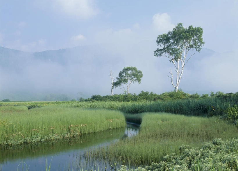 无人,横图,室外,白天,正面,旅游,度假,草地,草坪,河流,美景,山,水,植物,雾,日本,亚洲,朦胧,模糊,河水,景观,山峰,水流,山峦,娱乐,草,树,树木,蓝色,绿色,蓝天,天空,自然,天,享受,休闲,景色,放松,生长,成长,迷雾,自然风光,东亚,本州,关东地方,本州岛,日本国,群马,群马县,大雾,彩图