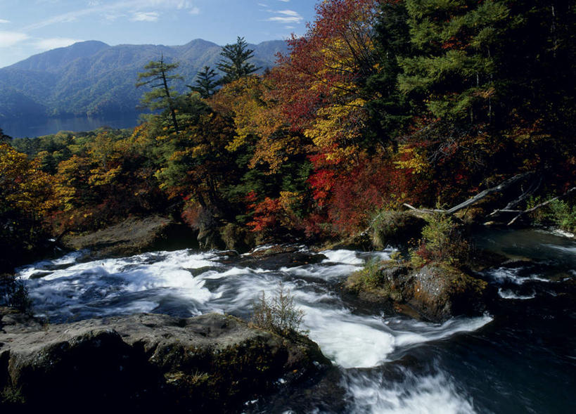 无人,横图,室外,白天,正面,旅游,度假,河流,石头,美景,山,山脉,树林,水,植物,日本,亚洲,阴影,光线,石子,影子,河水,景观,山峰,水流,云,云朵,山峦,云彩,娱乐,树,树木,蓝色,绿色,白云,蓝天,天空,阳光,自然,群山,天,享受,休闲,景色,放松,生长,成长,自然风光,东亚,本州,关东地方,本州岛,日本国,栃木,栃木县,石块,岩石,彩图