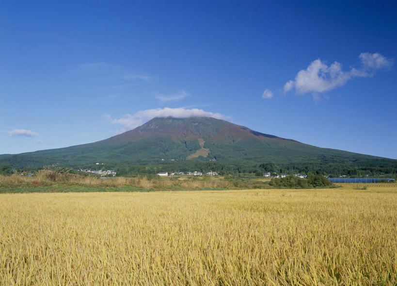 无人,横图,室外,白天,正面,旅游,度假,美景,山,树林,植物,日本,亚洲,许多,阴影,丰收,光线,影子,景观,山峰,云,云朵,水稻,山峦,云彩,娱乐,树,树木,黄色,蓝色,绿色,白云,蓝天,天空,阳光,自然,天,享受,休闲,稻谷,景色,放松,生长,收获,成长,自然风光,东亚,本州,本州岛,日本国,青森,青森县,东北地方,彩图