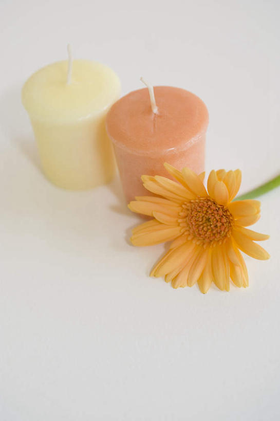 无人,竖图,俯视,室内,特写,白天,白色背景,桌面,桌子,静物,蜡烛,两根,盛开,非洲菊,花蕾,花,花瓣,花朵,鲜花,两个,一朵,粉色,黄色,红色,花苞,花蕊,橙色,菊花,摄影,影棚,扶郎花,灯盏花,千日菊,彩图,高角度拍摄,影棚拍摄,拍摄