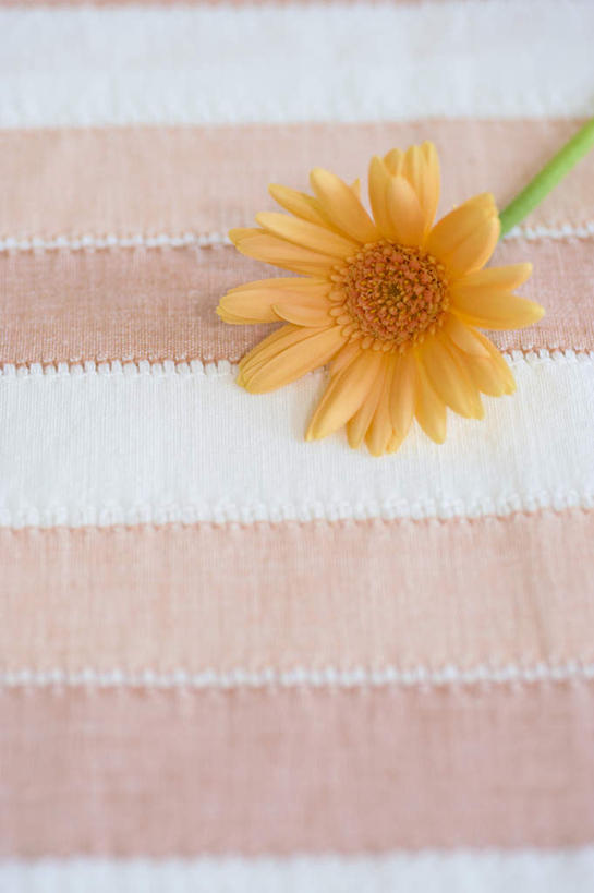 无人,竖图,俯视,室内,特写,白天,静物,条纹,盛开,非洲菊,花蕾,桌布,花,花瓣,花朵,鲜花,一朵,粉色,黄色,白色,花苞,花蕊,菊花,扶郎花,灯盏花,千日菊,彩图,高角度拍摄