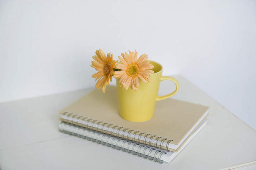 无人,横图,俯视,室内,特写,白天,桌面,桌子,静物,杯子,绿色背景,盛开,瓷器,墙,非洲菊,记事本,咖啡杯,陶瓷制品,花蕾,书桌,墙壁,墙面,花,花瓣,花朵,鲜花,两朵,黄色,本子,笔记本,课桌,花苞,花蕊,菊花,摄影,影棚,两本,瓷杯,扶郎花,灯盏花,千日菊,彩图,高角度拍摄,影棚拍摄,拍摄