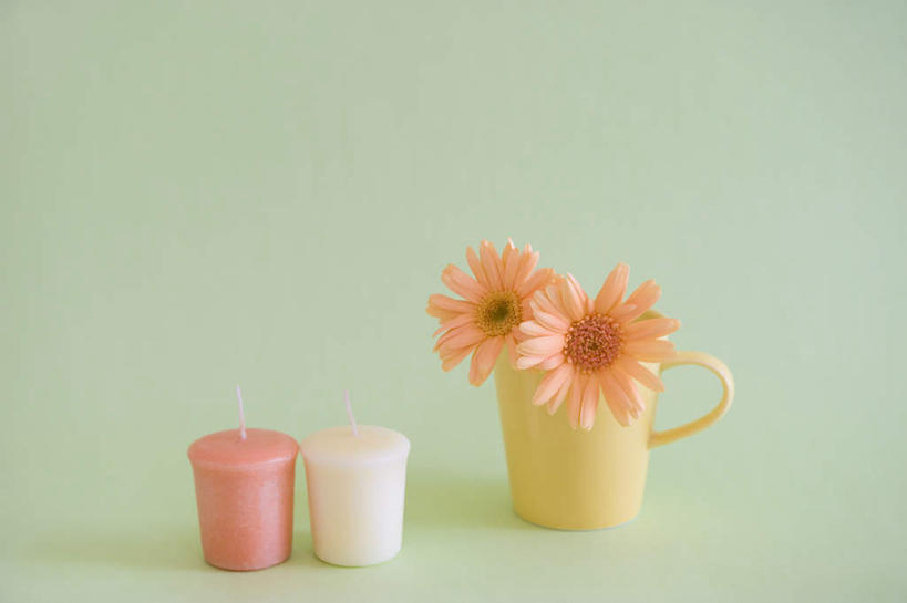 无人,横图,俯视,室内,特写,白天,桌面,桌子,静物,杯子,蜡烛,绿色背景,盛开,陶瓷,非洲菊,陶瓷制品,花蕾,花,花瓣,花朵,鲜花,两朵,两个,白色,马克杯,水杯,花苞,花蕊,橙色,菊花,摄影,影棚,扶郎花,灯盏花,千日菊,彩图,高角度拍摄,影棚拍摄,拍摄