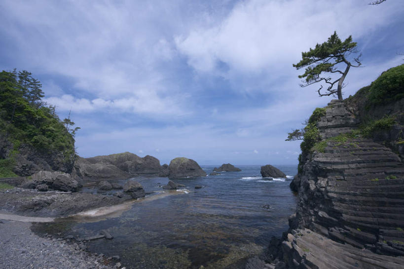 无人,横图,室外,白天,正面,旅游,度假,海浪,海洋,石头,美景,植物,日本,亚洲,阴影,光线,石子,影子,景观,浪花,悬崖,云,云朵,云彩,娱乐,树,树木,蓝色,绿色,白云,蓝天,天空,阳光,自然,海水,天,享受,休闲,景色,放松,生长,成长,自然风光,海景,东亚,本州,本州岛,日本国,中部地方,福井,福井县,大海,风浪,海,海水的波动,近岸浪,石块,岩石,涌浪,彩图