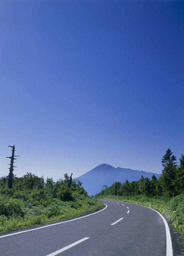 无人,竖图,室外,白天,正面,旅游,度假,草地,草坪,美景,山,植物,道路,路,公路,日本,亚洲,阴影,光线,影子,景观,山峰,分界线,停车线,交通,山峦,娱乐,草,树,树木,蓝色,绿色,蓝天,天空,阳光,自然,天,享受,休闲,景色,放松,生长,成长,车行道,车行道分界线,自然风光,标线,东亚,车行线,本州,本州岛,日本国,岩手,岩手县,马路,彩图