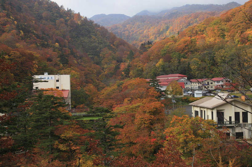 无人,家,横图,俯视,航拍,室外,白天,旅游,度假,美景,秋季,山,山脉,树林,植物,叶子,日本,亚洲,许多,阴影,光线,影子,房屋,屋子,景观,山峰,山峦,娱乐,楼房,住宅,树,树木,红色,蓝色,绿色,蓝天,天空,阳光,自然,群山,天,享受,休闲,景色,放松,生长,成长,鸟瞰,自然风光,东亚,本州,本州岛,日本国,岩手,岩手县,叶,叶片,秋,秋天,彩图,高角度拍摄,房子
