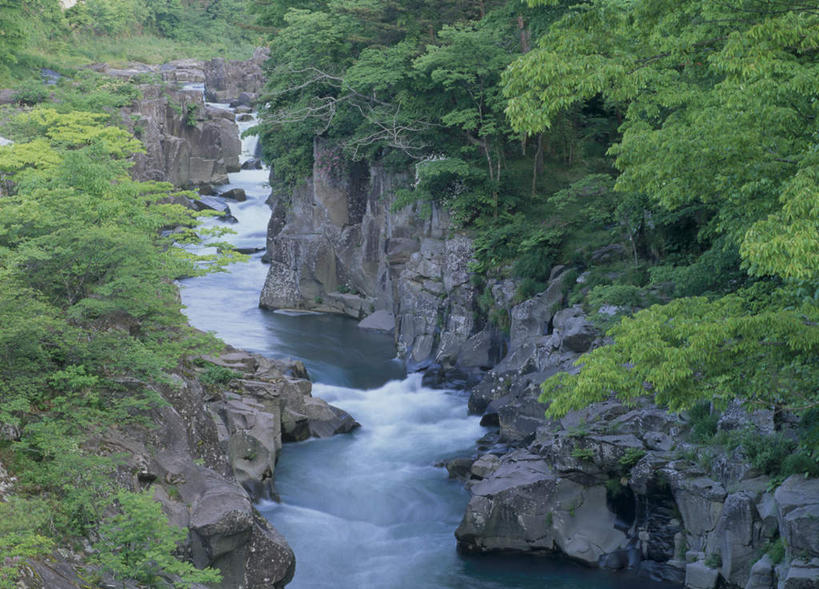 无人,横图,俯视,室外,白天,旅游,度假,河流,石头,美景,树林,水,植物,日本,亚洲,石子,河水,景观,水流,娱乐,树,树木,绿色,自然,享受,休闲,石壁,景色,放松,生长,成长,自然风光,东亚,本州,本州岛,日本国,岩手,岩手县,石块,岩石,彩图,高角度拍摄