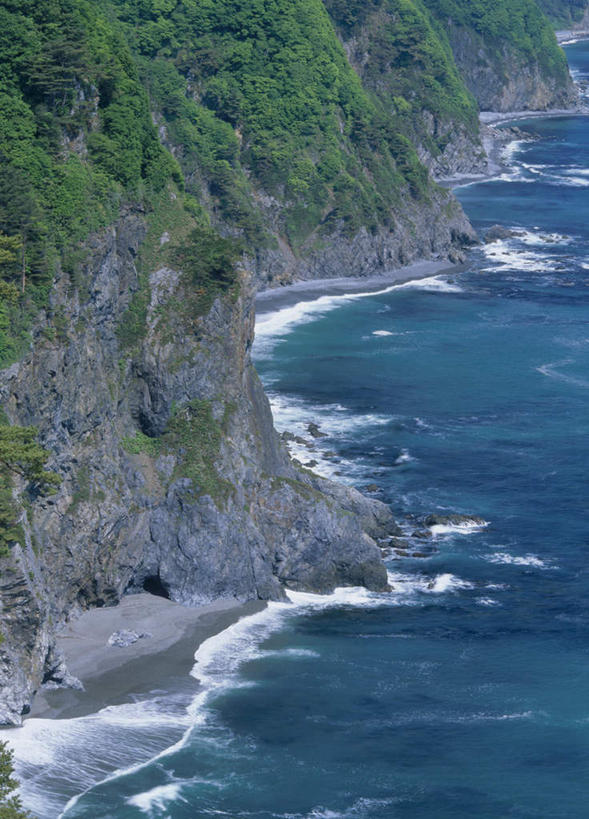 无人,竖图,俯视,航拍,室外,白天,旅游,度假,海浪,海洋,美景,树林,植物,日本,亚洲,景观,浪花,悬崖,娱乐,树,树木,蓝色,绿色,自然,海水,享受,休闲,石壁,景色,放松,生长,成长,鸟瞰,自然风光,海景,东亚,本州,本州岛,日本国,岩手,岩手县,大海,风浪,海,海水的波动,近岸浪,涌浪,彩图,高角度拍摄