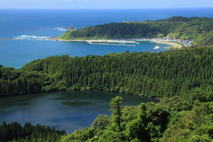 无人,横图,俯视,航拍,室外,白天,旅游,度假,海浪,海洋,美景,森林,树林,植物,秋田县,日本,亚洲,阴影,光线,影子,景观,浪花,娱乐,树,树木,蓝色,绿色,蓝天,天空,阳光,自然,海水,天,享受,休闲,景色,放松,生长,成长,鸟瞰,自然风光,海景,东亚,本州,本州岛,日本国,秋田,大海,风浪,海,海水的波动,近岸浪,涌浪,彩图,高角度拍摄