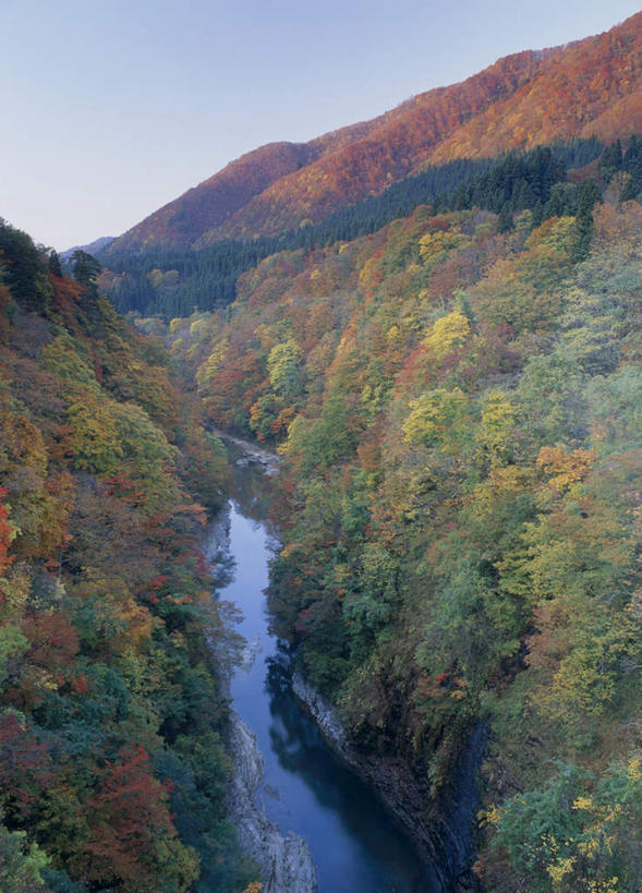 无人,竖图,俯视,室外,白天,旅游,度假,河流,美景,秋季,山,树林,水,植物,秋田县,日本,亚洲,许多,阴影,光线,影子,河水,景观,山峰,水流,山峦,娱乐,树,树木,红色,蓝色,绿色,蓝天,天空,阳光,自然,天,享受,休闲,景色,放松,生长,成长,自然风光,东亚,本州,本州岛,日本国,秋田,秋,秋天,彩图,高角度拍摄