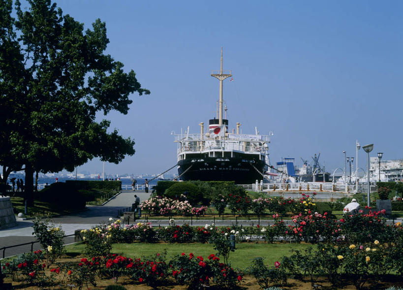 无人,码头,横图,室外,白天,正面,旅游,度假,草地,草坪,花海,花圃,植物,港口,轮船,船,叶子,神奈川,日本,亚洲,阴影,盛开,光线,影子,神奈川县,花蕾,娱乐,草,花,花瓣,花朵,鲜花,树,树木,蓝色,绿色,蓝天,天空,阳光,自然,花丛,花束,花田,天,花苞,花蕊,享受,休闲,放松,生长,成长,停泊,东亚,本州,关东地方,本州岛,日本国,彩图,摆渡口,埠头,渡口,渡头,港湾,海港,货运码头,口岸,商港