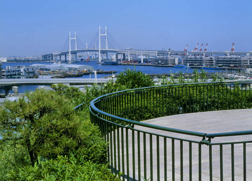 无人,栏杆,码头,横图,俯视,室外,白天,旅游,度假,河流,树林,水,植物,大桥,港口,立交桥,桥梁,神奈川,日本,亚洲,阴影,光线,影子,河水,水流,高架,围栏,斜拉桥,桥,神奈川县,娱乐,护栏,树,树木,蓝色,绿色,蓝天,天空,阳光,自然,天,享受,休闲,放松,生长,成长,东亚,本州,关东地方,本州岛,日本国,彩图,高角度拍摄,摆渡口,埠头,渡口,渡头,港湾,海港,货运码头,口岸,商港