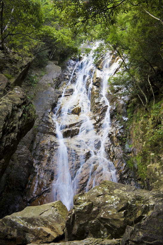 无人,竖图,室外,白天,仰视,旅游,度假,石头,美景,瀑布,树林,水,植物,日本,亚洲,阴影,飞溅,溅,光线,石子,液体,影子,景观,娱乐,树,树木,绿色,阳光,自然,享受,休闲,石壁,景色,放松,生长,成长,喷洒,自然风光,东亚,本州,本州岛,日本国,近畿地方,近畿,滋贺,滋贺县,跌水,石块,岩石,彩图,低角度拍摄