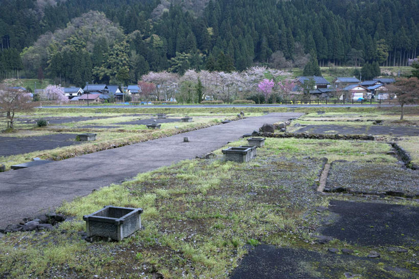 无人,横图,室外,白天,正面,旅游,度假,草地,草坪,名胜古迹,山,树林,植物,道路,地标,路,日本,亚洲,遗迹,山峰,小路,交通,山峦,古迹,文物,娱乐,古建筑,草,树,树木,绿色,自然,享受,休闲,旅游胜地,放松,生长,成长,古文明,东亚,本州,本州岛,日本国,中部地方,福井,福井县,一乘谷朝仓氏遗迹,县厅,福井市,一乘谷城,彩图,标志性建筑