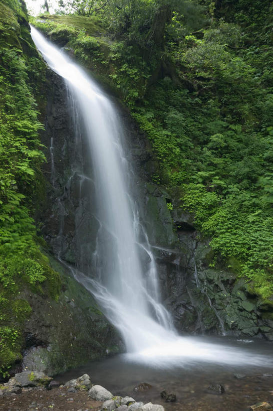 无人,竖图,室外,白天,正面,旅游,度假,草地,草坪,石头,瀑布,树林,水,植物,日本,亚洲,飞溅,溅,石子,液体,娱乐,草,树,树木,绿色,白色,自然,享受,休闲,放松,生长,成长,喷洒,东亚,本州,本州岛,日本国,中部地方,福井,福井县,跌水,石块,岩石,彩图
