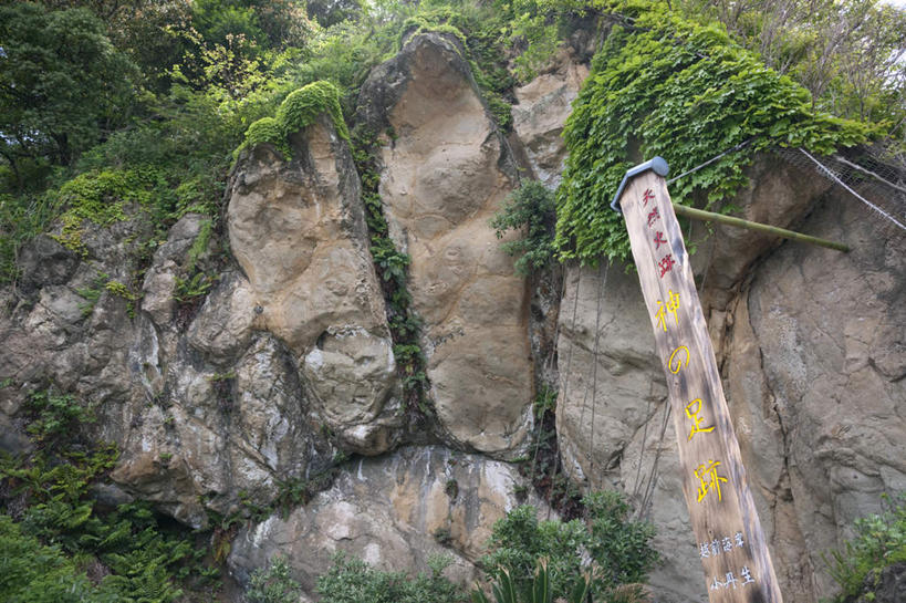 无人,横图,室外,白天,仰视,旅游,度假,草地,草坪,石头,植物,指示牌,日本,亚洲,悬挂,日文,标志,木板,石子,文字,娱乐,标识,草,树,树木,绿色,自然,享受,休闲,放松,生长,成长,东亚,本州,本州岛,日本国,中部地方,福井,福井县,石块,岩石,彩图,低角度拍摄