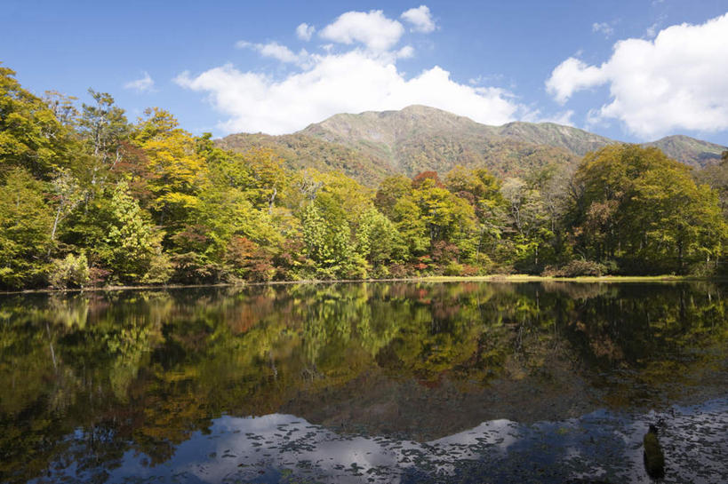 无人,横图,室外,白天,正面,旅游,度假,湖,湖泊,美景,山,树林,水,植物,日本,亚洲,阴影,光线,影子,池塘,湖面,景观,山峰,水流,水面,云,云朵,山峦,云彩,娱乐,树,树木,蓝色,绿色,白云,蓝天,天空,阳光,自然,湖水,天,享受,休闲,景色,放松,生长,成长,自然风光,东亚,本州,本州岛,日本国,中部地方,福井,福井县,彩图