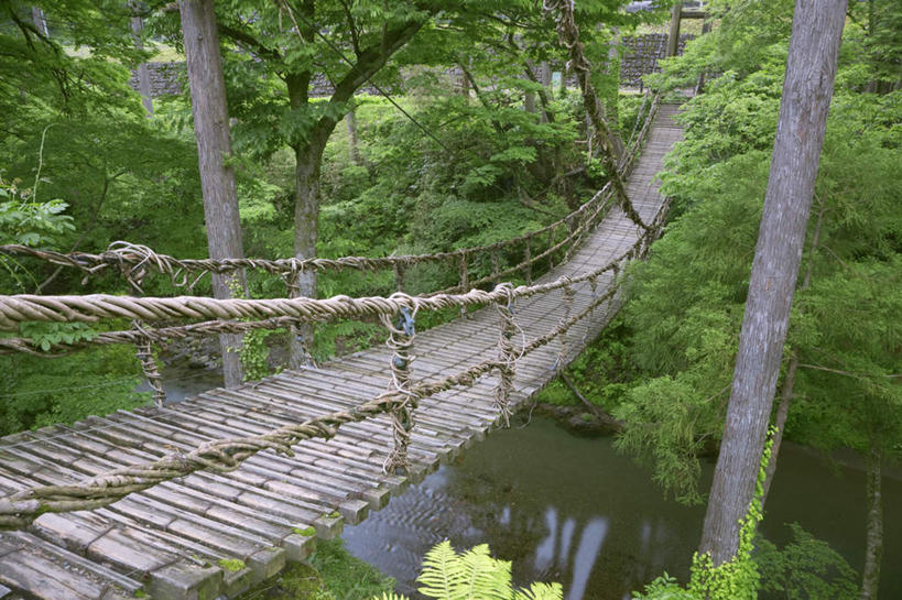 无人,栏杆,横图,俯视,室外,白天,旅游,度假,河流,美景,树林,水,植物,日本,亚洲,木板,河水,景观,水流,围栏,桥,木桥,娱乐,护栏,栈桥,树,树木,绿色,自然,享受,休闲,景色,放松,吊桥,生长,成长,人行桥,木板桥,自然风光,东亚,本州,本州岛,日本国,中部地方,福井,福井县,彩图,高角度拍摄
