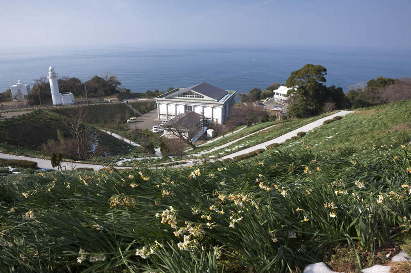 无人,家,横图,俯视,室外,白天,旅游,度假,草地,草坪,海浪,海洋,花海,花圃,美景,植物,道路,路,叶子,日本,亚洲,阴影,盛开,光线,影子,房屋,屋子,景观,浪花,小路,灯塔,交通,花蕾,娱乐,楼房,住宅,草,花,花瓣,花朵,鲜花,黄色,蓝色,绿色,白色,蓝天,天空,阳光,自然,海水,花丛,花束,花田,天,花苞,花蕊,享受,休闲,景色,放松,自然风光,海景,东亚,本州,本州岛,日本国,中部地方,福井,福井县,大海,风浪,海,海水的波动,近岸浪,涌浪,彩图,高角度拍摄,房子