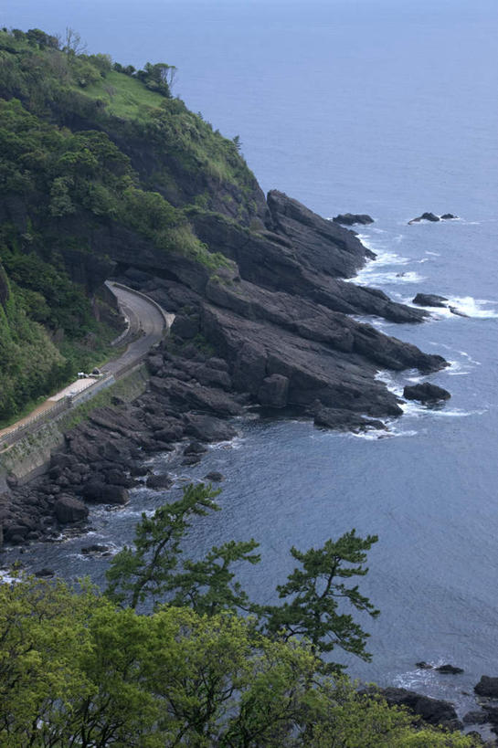 无人,竖图,俯视,航拍,室外,白天,旅游,度假,草地,草坪,海浪,海洋,美景,山,树林,植物,日本,亚洲,景观,浪花,山峰,山峦,娱乐,草,树,树木,绿色,自然,海水,享受,休闲,景色,放松,生长,成长,鸟瞰,自然风光,海景,东亚,本州,本州岛,日本国,中部地方,福井,福井县,大海,风浪,海,海水的波动,近岸浪,涌浪,彩图,高角度拍摄